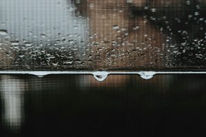 Rainfall closeup